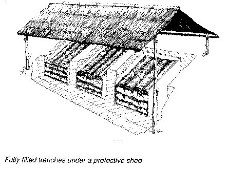 STORAGE SYSTEMS FOR FRESH CASSAVA ROOTS (9KB)